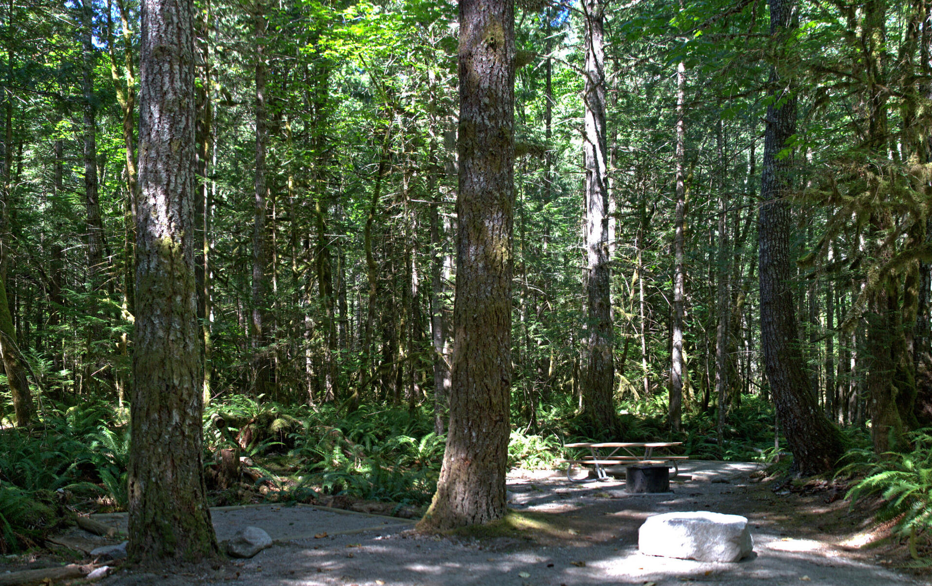 trans camp 3! july 1-5 2023