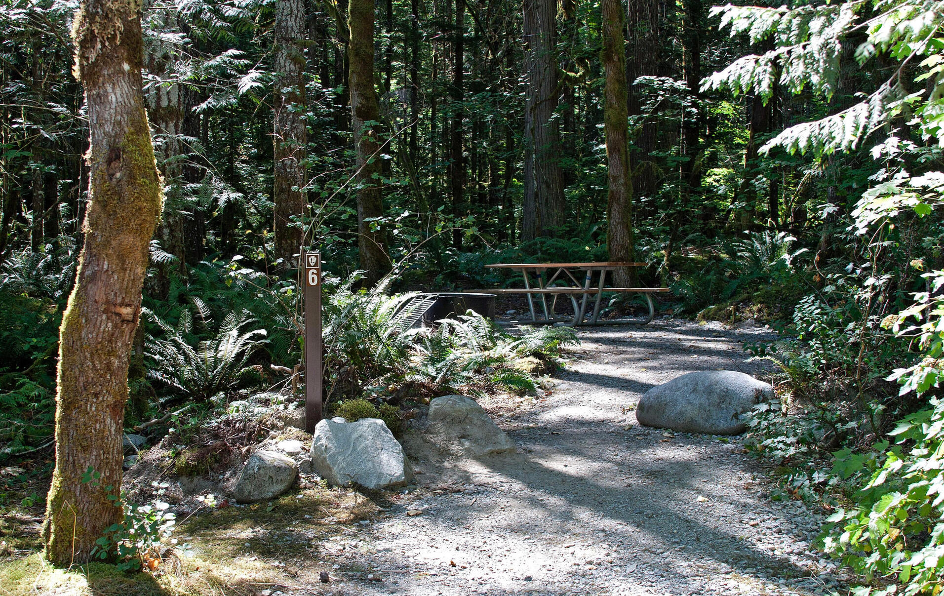 trans camp 3! july 1-5 2023